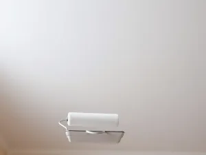 Jakie są zalety ogrodu skalnego?