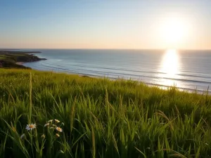 Jak pielęgnować lawendę? Porady dla ogrodników